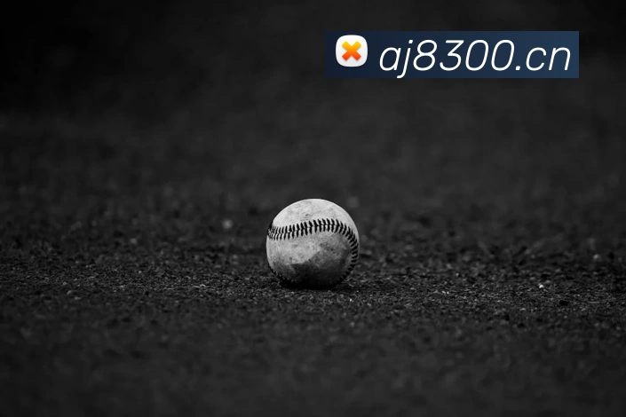 星空网官网首页入口服务体系